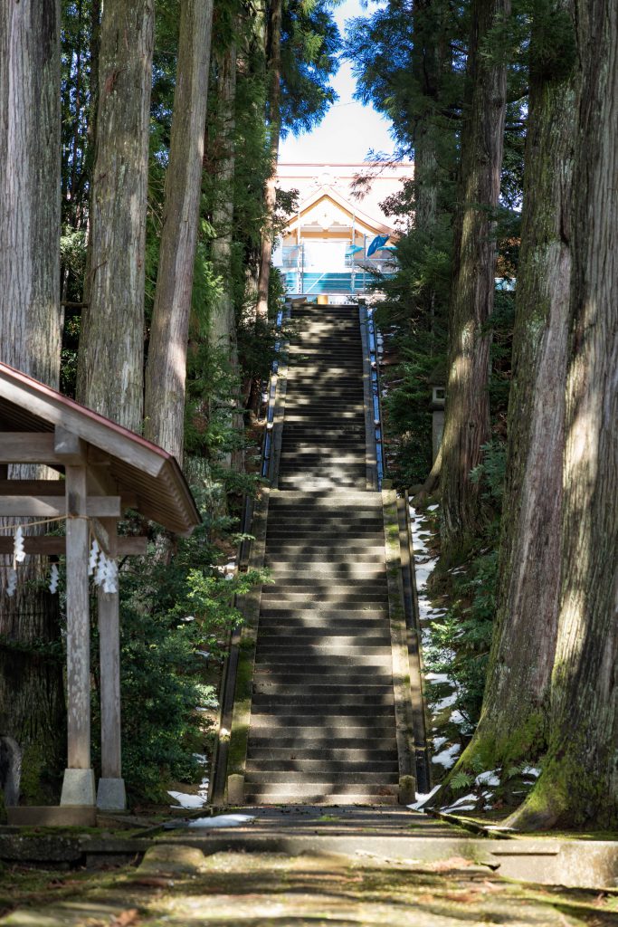 春日神社参道